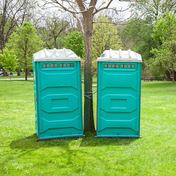 Seasonal Porta Potty Rentals HUDSON WI